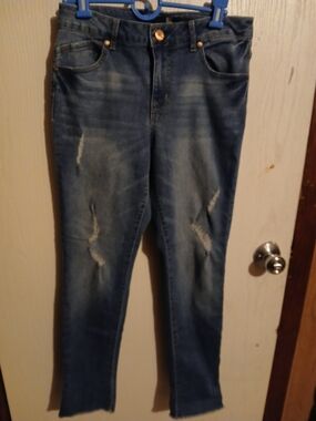 1822 Denim Straight-Leg Distressed Blue Jeans